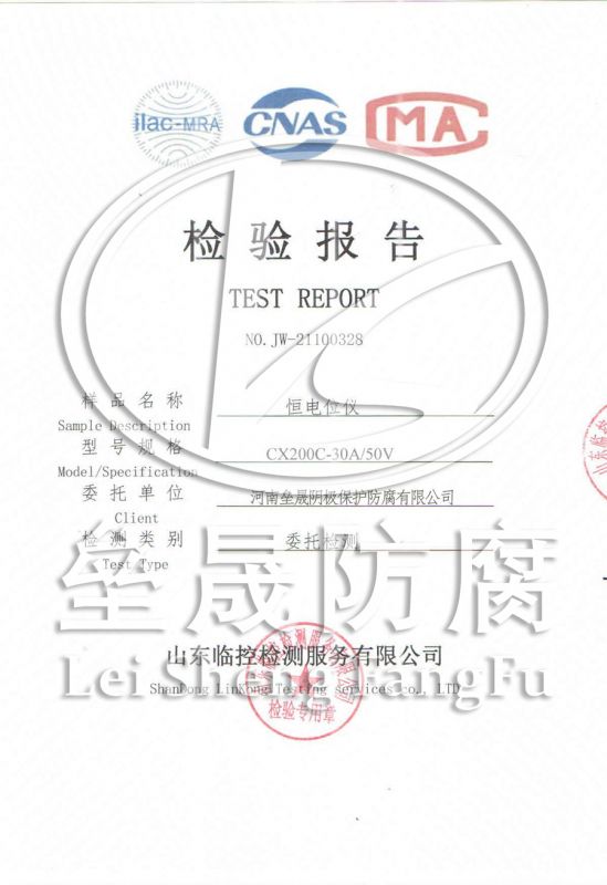恒电位移检测报告